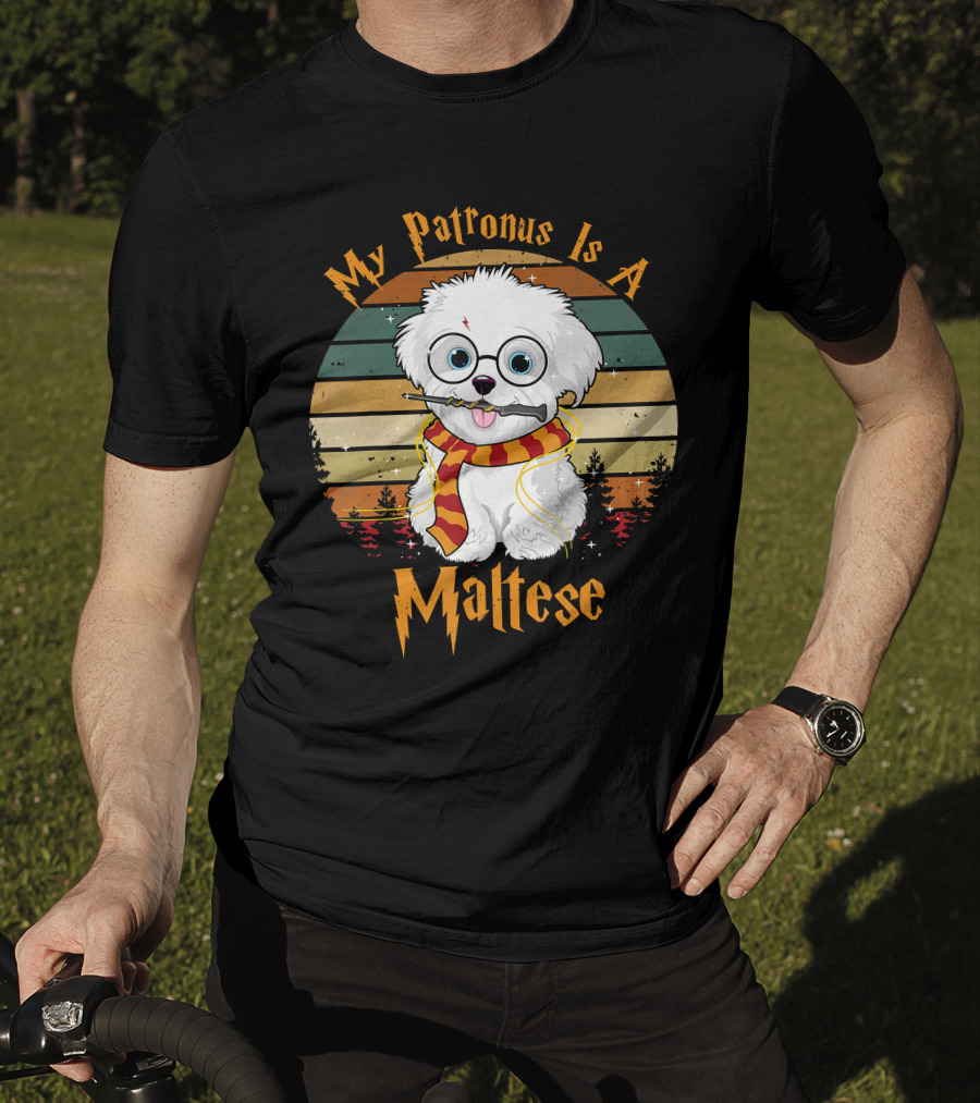 My Patronus Is A Maltese Dog With Wizard Glasses And Scarf In Colorful Circle T-Shirt