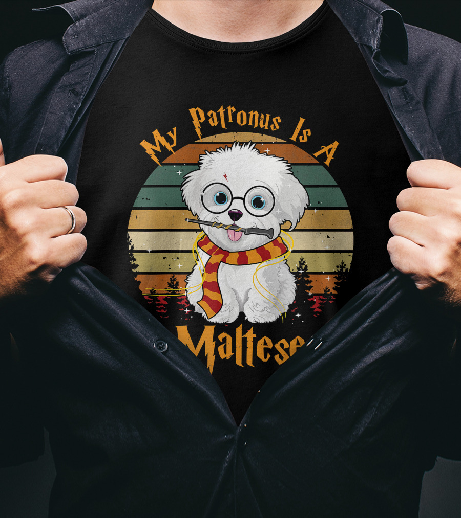 My Patronus Is A Maltese Dog With Wizard Glasses And Scarf In Colorful Circle T-Shirt