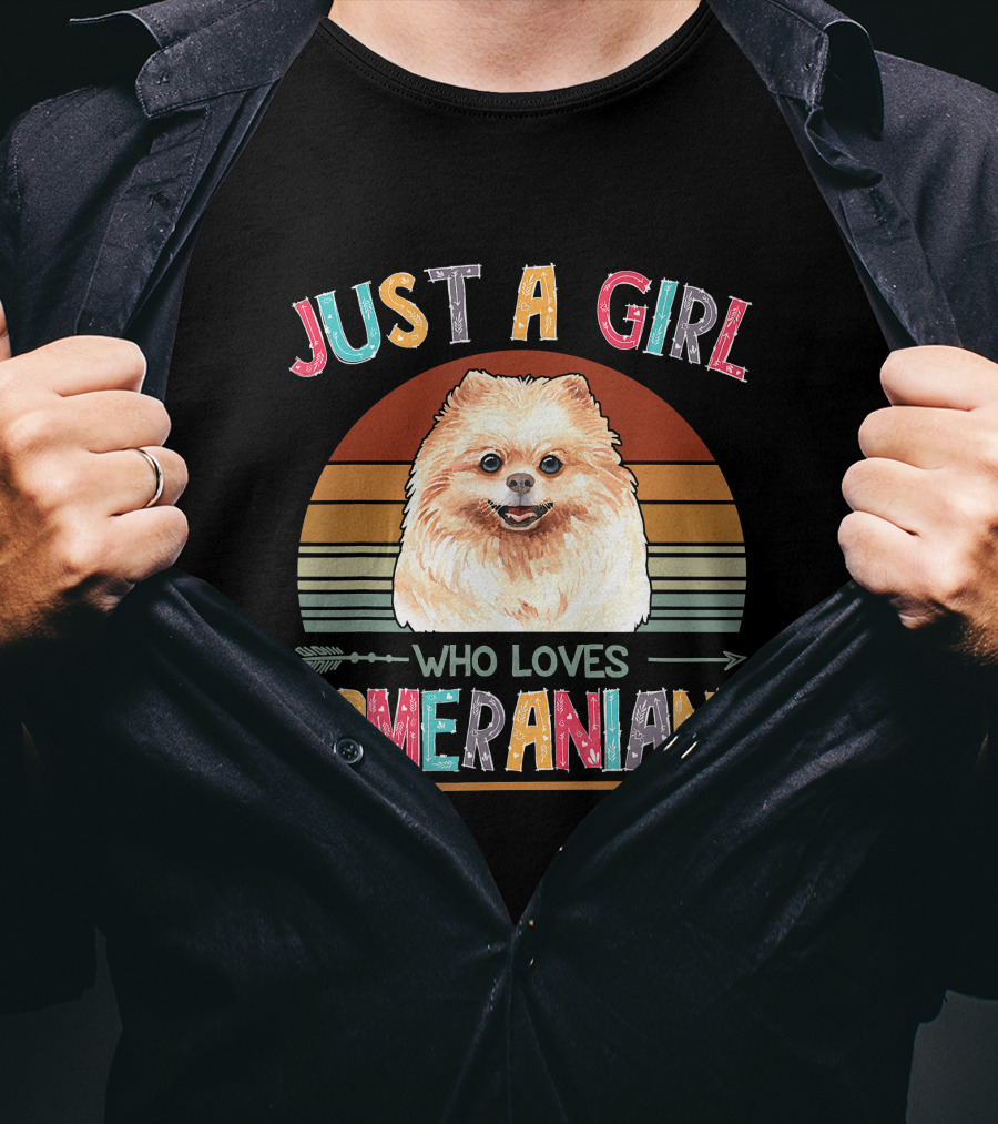 Just A Girl Who Loves Pomeranians Retro Sunset T-Shirt