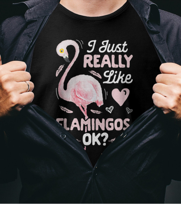 I Just Really Like Flamingos OK Funny Pink Flamingo Lover Heart Feathers T-Shirt